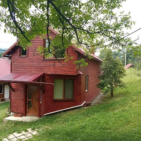 Котедж "Барвінок" Verkhovyna Exterior photo